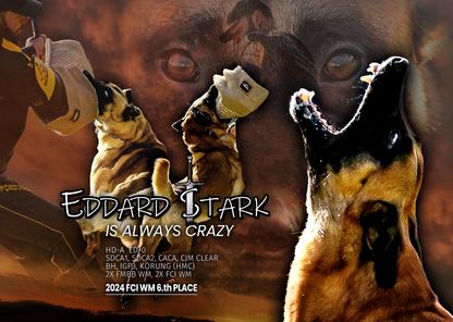 Eddard Stark Is Always Crazy Eddard Stark Is Always Crazy