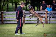 Chaos vom Stockborn