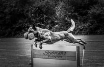 Owen LOSH 1170151 (Pola Alonso)
