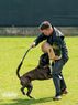 Fifus European K9 training base