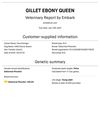 Embark report.pdf