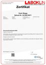 Zertifikat-2412W133271-Lemp-Meggy.pdf