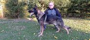 Egon De Scele
