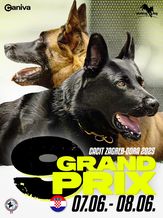 HKS IGP