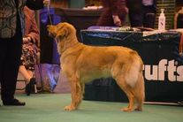 Isalynn van Elderen's Hof