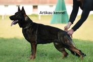 Ares spod Čerenca