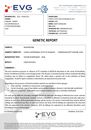 FVII..pdf