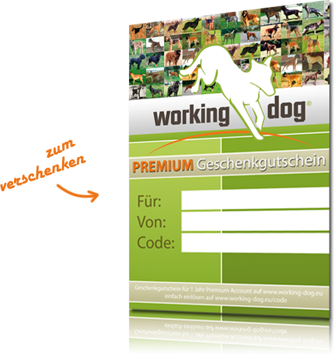 Der working-dog Premiumgutschein