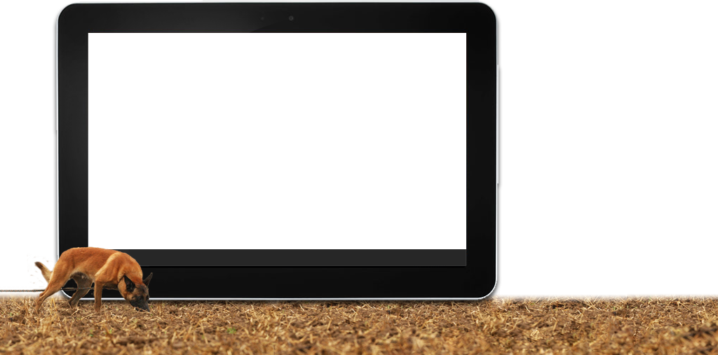 Traging-Dog Tablet